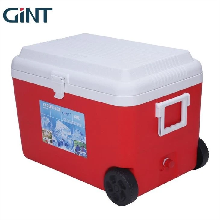 Foam Insulated Cooler